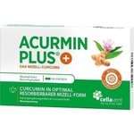 ACURMIN Plus Das Mizell-Curcuma Weichkapseln 60 St