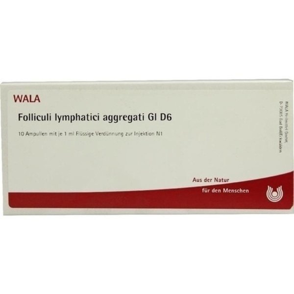 FOLLICULI LYMPH. AGGR. GL D 6 Ampullen 10X1 ml
