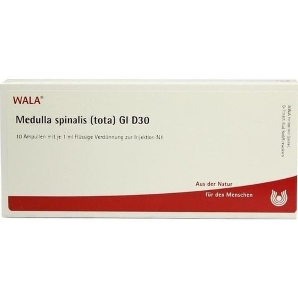 MEDULLA SPINALIS TOTA GL D 30 Ampullen 10X1 ml