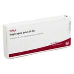 DIAPHRAGMA PELVIS GL D 6 Ampullen 10X1 ml