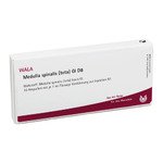 MEDULLA SPINALIS TOTA GL D 8 Ampullen 10X1 ml