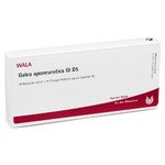 GALEA APONEUROTICA GL D 5 Ampullen 10X1 ml