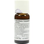 ABSINTHIUM/CARYOPHYLLI comp.Dilution 50 ml