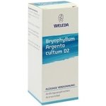 BRYOPHYLLUM ARGENTO cultum D 2 Dilution 50 ml