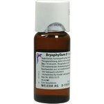 BRYOPHYLLUM D 1 Dilution 50 ml