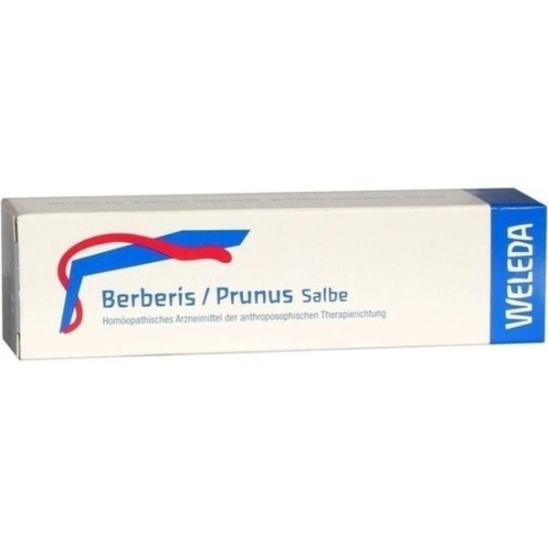 BERBERIS/PRUNUS Salbe 25 g