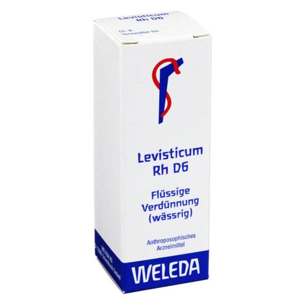 LEVISTICUM RH D 6 Dilution 20 ml