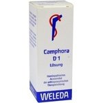 CAMPHORA D 1 Dilution 20 ml