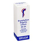 BRYOPHYLLUM ARGENTO cultum Rh D 3 Dilution 20 ml